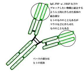 生物学的製剤・分子標的薬とは?